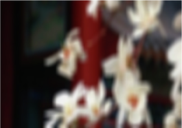 View full size image