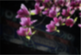 View full size image