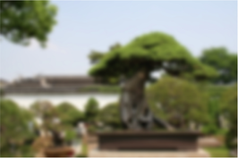 View full size image