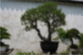 View full size image