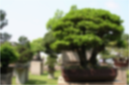 View full size image