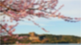 View full size image