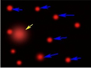 View full size image