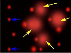 View full size image