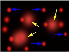 View full size image