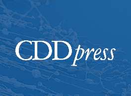 cddpress logo