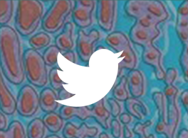 Twitter logo