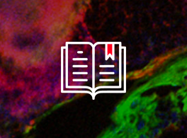 Book logo