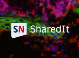 Springer Nature SharedIt logo