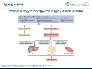 Pathophysiology of hyperglycemia in type 2 diabetes mellitus | diabetes