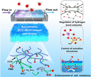 Dynamic Regulation of Hydrogen Bonding Networks and Solvation ...