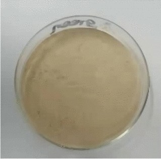 View full size image