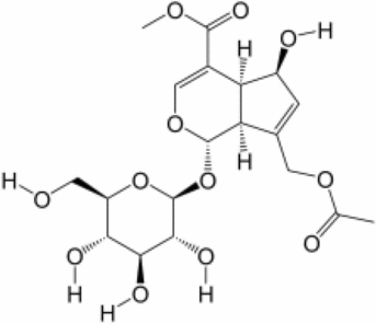 View full size image