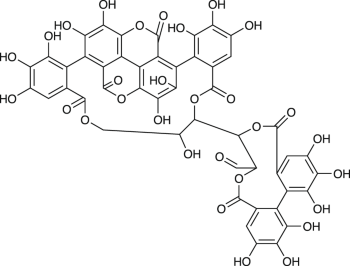 View full size image