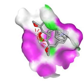 View full size image