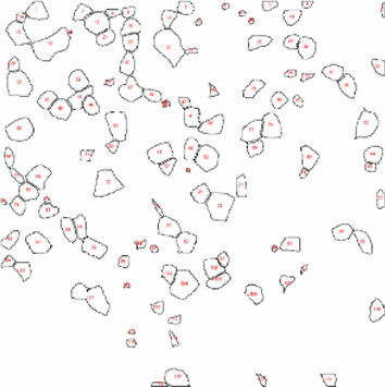 View full size image