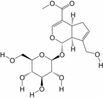 View full size image