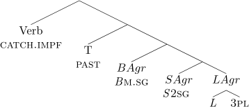 Morphology Before Phonology A Case Study Of Turoyo Neo Aramaic Springerlink