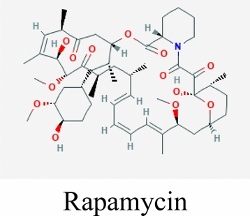 View full size image