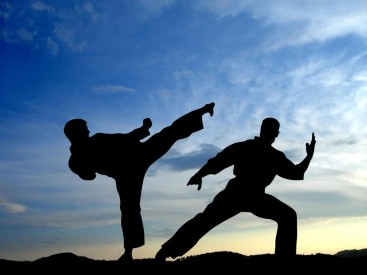 Agile Methoden | Japanische Kampfkunst macht agil | springerprofessional.de