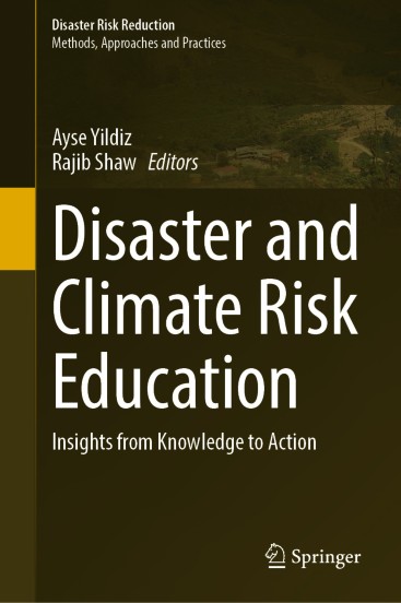 Disaster Risk Reduction | springerprofessional.de