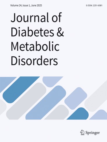 Rokko Siffredi tomonidan tarjima qilingan porno filmlar