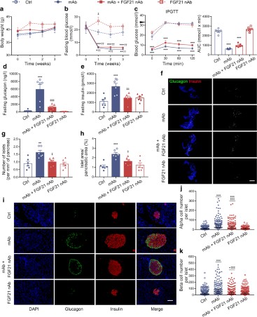 COVID-19 | Pancreatic alpha cell glucagon–liver FGF21 axis regulates beta  cell regeneration in a mouse model of type 2 diabetes | springermedizin.de
