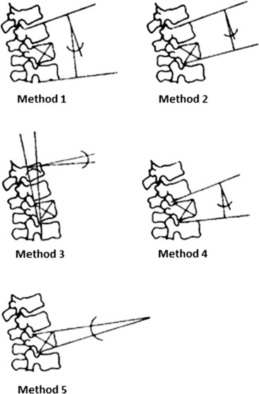 Umfrage zu Anatomie-Tools: 4. Draw it to Know it