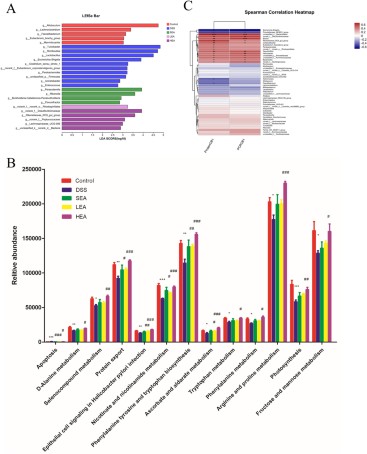 Enterocolic increase of cannabinoid receptor type 1 and type 2 and clinical  improvement after probiotic administration in dogs with chronic signs of  colonic dysmotility without mucosal inflammatory changes - Rossi - 2020 