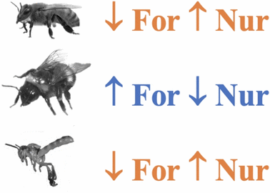 View full size image