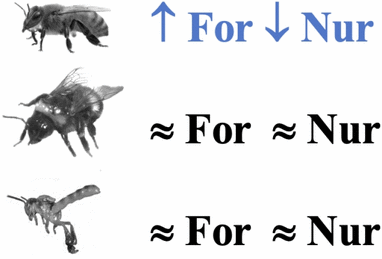 View full size image