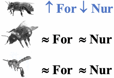 View full size image