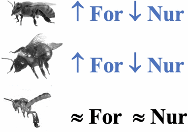 View full size image