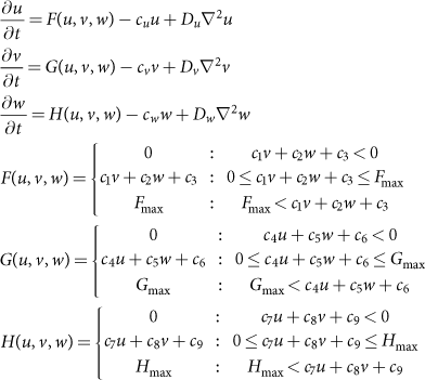 A Living Mesoscopic Cellular Automaton Made Of Skin Scales Nature