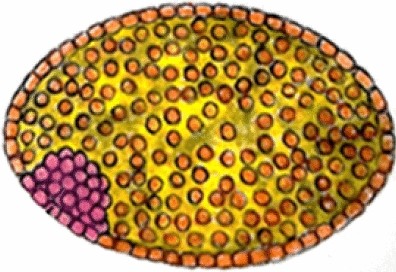 View full size image