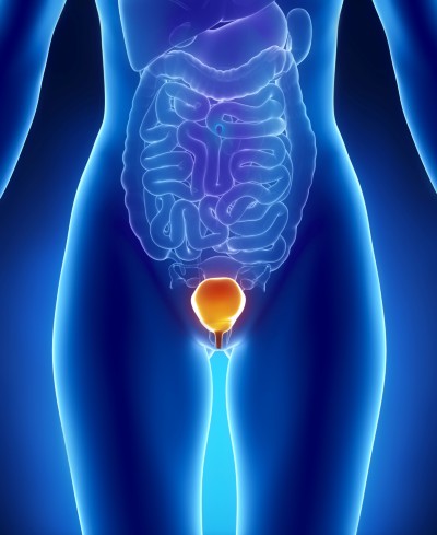 Gynkologische Urologie | Lokalansthetikum bei Zystoskopie verzichtbar? |  springermedizin.de