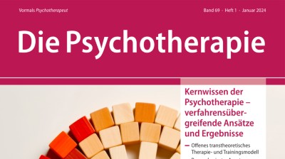 Die Psychotherapie