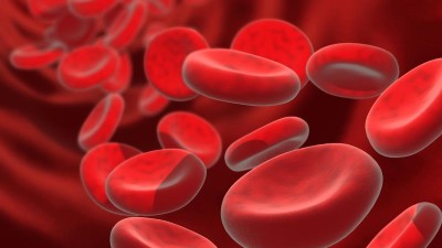 Blut