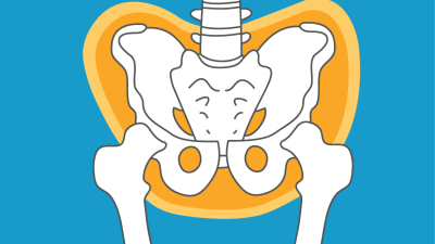 OP-Training - Becken