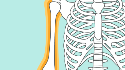 OP-Training - Oberarm