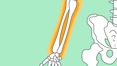 OP-Training - Unterarm