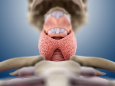 www.springermedizin.at