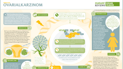 PrimeView Ovarialkarzinom