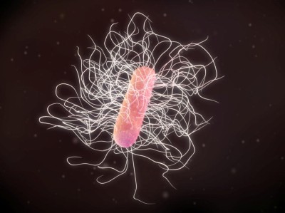 Clostridium difficile 