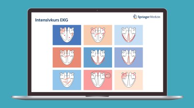 Intensivkurs EKG