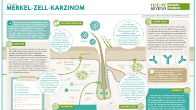 Disease Primers Merkelzellkarzinom