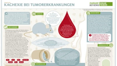 PrimeView Kachexie bei Tumorerkrankungen
