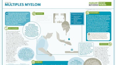 PrimeView Multiples Myelom