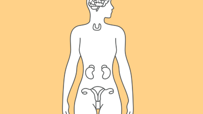 Endokrinologie