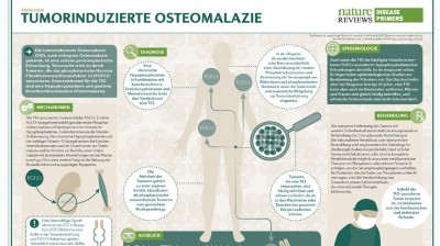 PrimeView Tumorinduzierte Osteomalazie